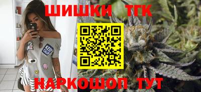 крисы Партизанск