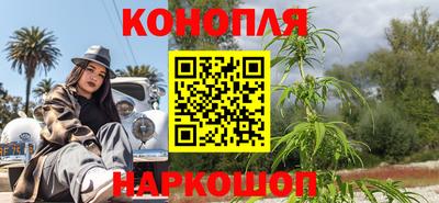 крисы Партизанск