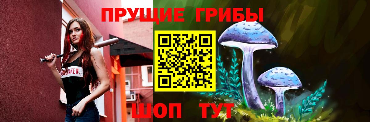 Санкт-Петербург  Псилоцибиновые грибы GOLDEN TEACHER  Галлюциногенные грибы Magic Shrooms  Вход с VPN 