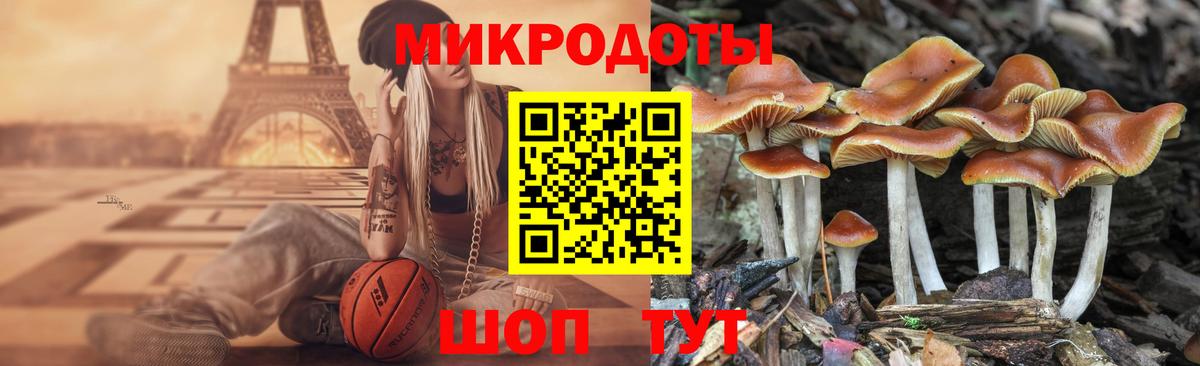 Псилоцибиновые грибы мухоморы Санкт-Петербург